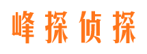 远安峰探私家侦探公司